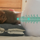 Dullo Pillow